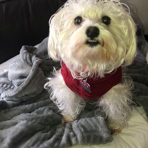 Meet your Posher, Debbie